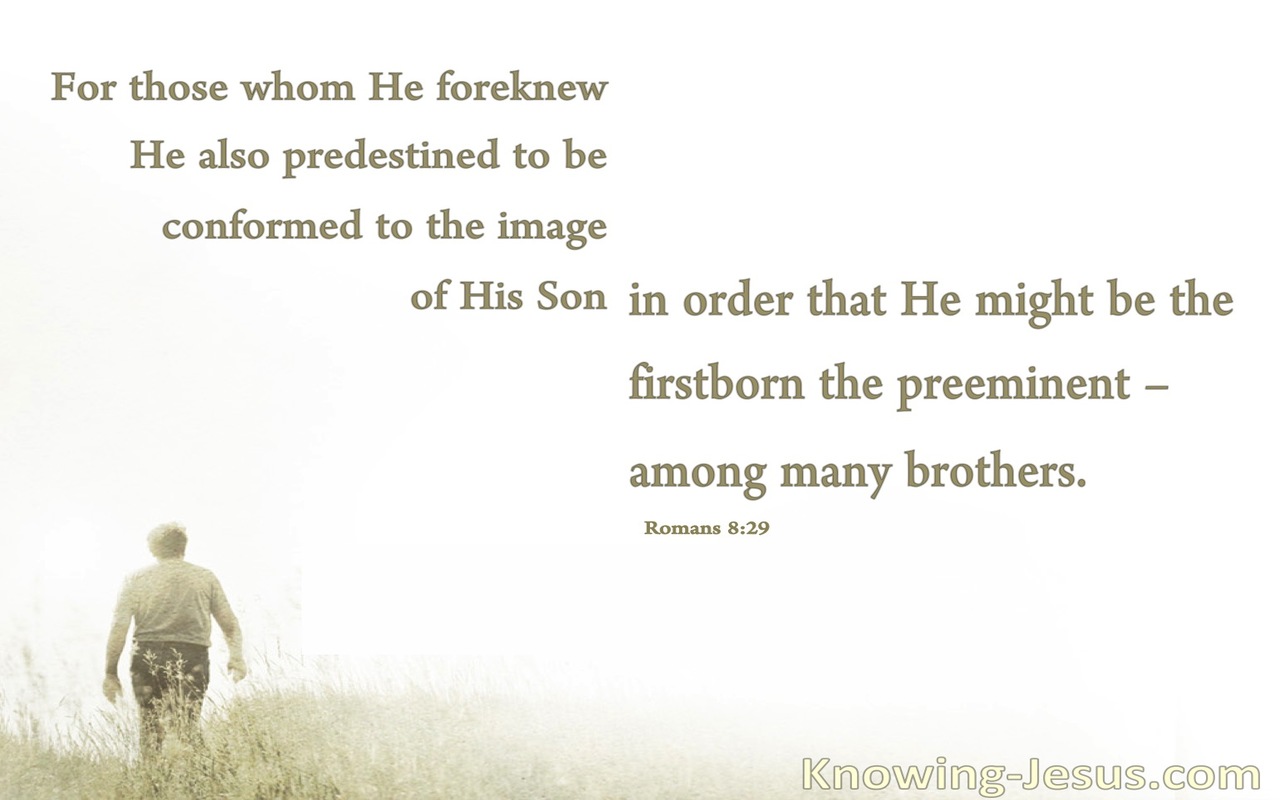 Romans 8:29 Conformed To The Image Of His Son (white)